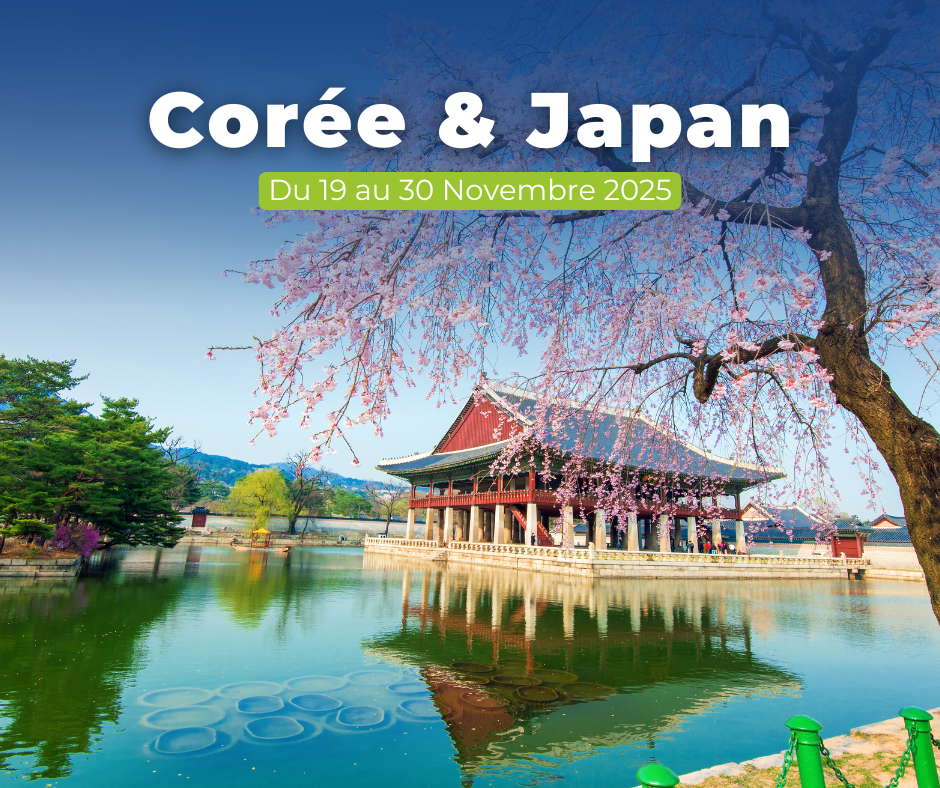 <p>Corée & Japon </p>
