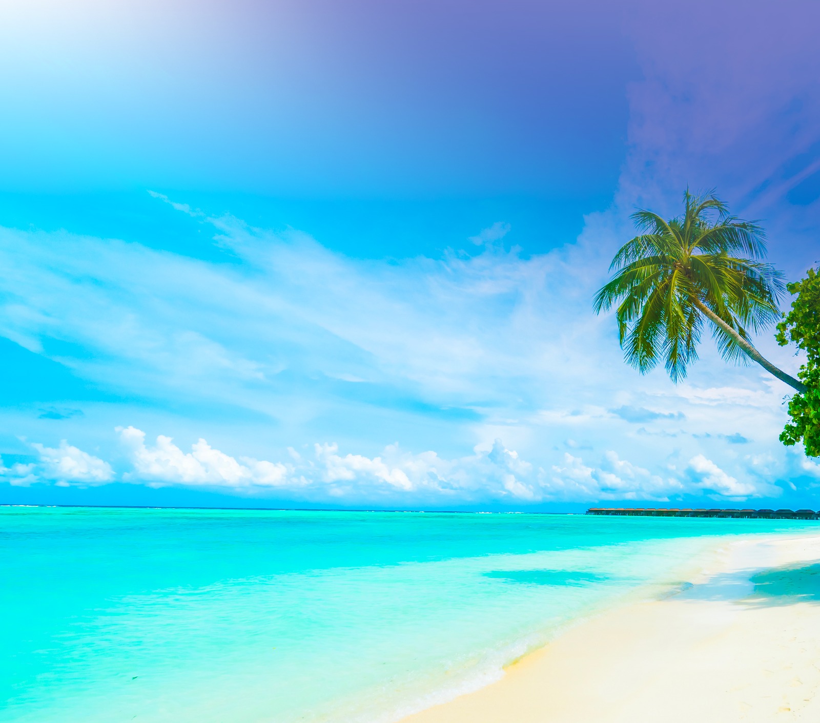 Sol Azur Beach Congres